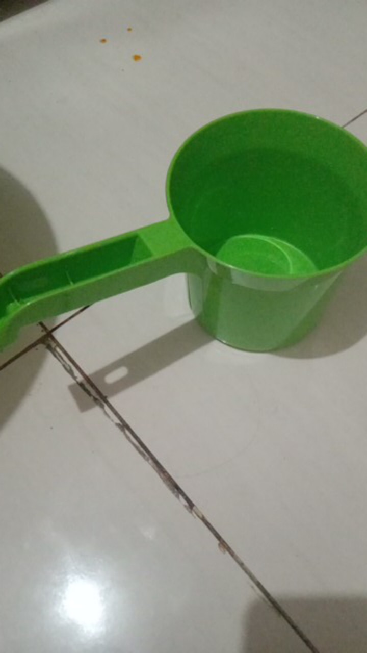 Lion Star - Gayung Mandi / Gayung Mandi Keramik