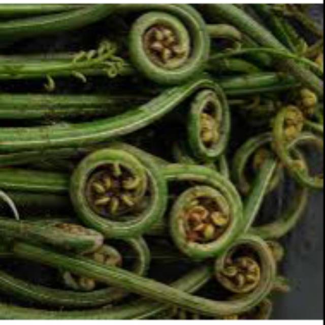 

Pakis sayur segar 1kg (pakis sieur) Langka rasa lebih gurih