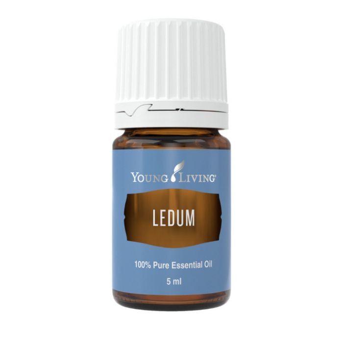 Ledum Essential Oil YLO 5ML