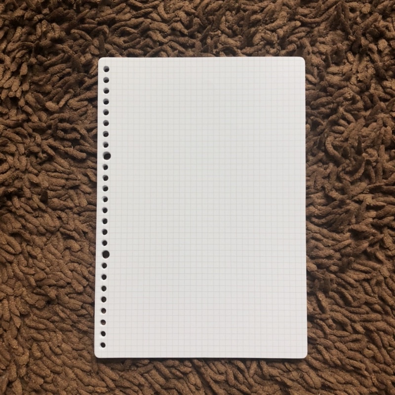 LOOSE LEAF GRID/DOTTED/WHITELINES GRID B5