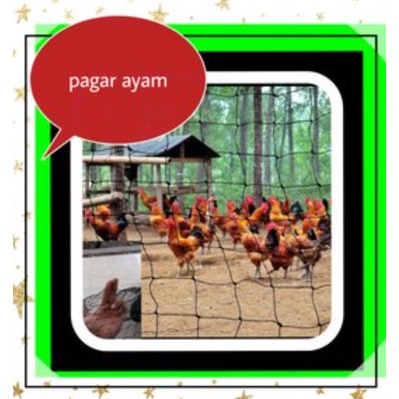 ☄️Restock✨ JARING AYAM METERAN JARING KANDANG AYAM JARING AYAM JARING PAGAR AYAM JARING PAGAR KEBUN 