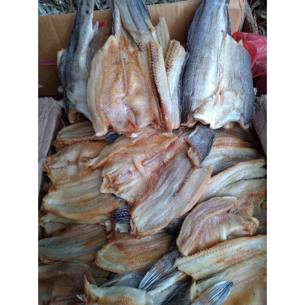 

Gabus kalimantan 500g 75 rb