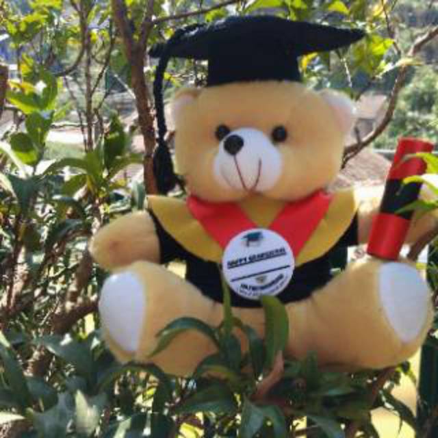 Boneka Wisuda Medium | Free Plastik Kemasan| Free Pin Logo Kampus