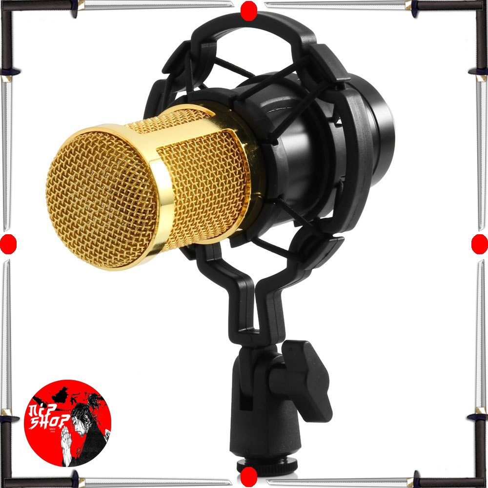 Mikrofon Kondenser Studio dengan Shock Proof Mount BM 800