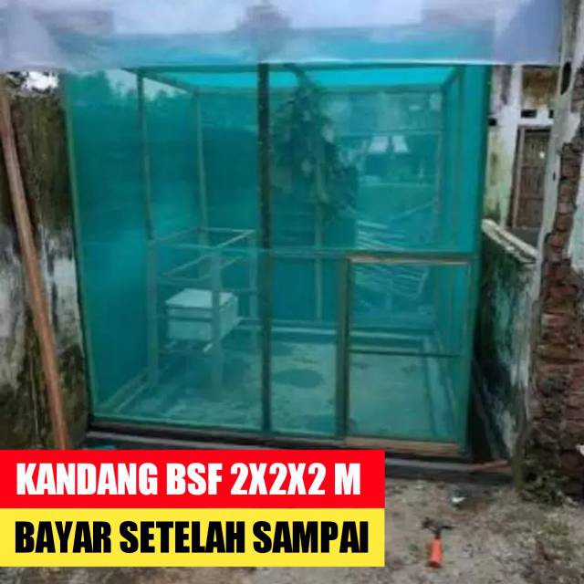 Jual Kandang Maggot Bsf Ukuran X X Meter Untuk Budidaya Lalat Bsf Dari Prepupa Dan Pupa Maggot