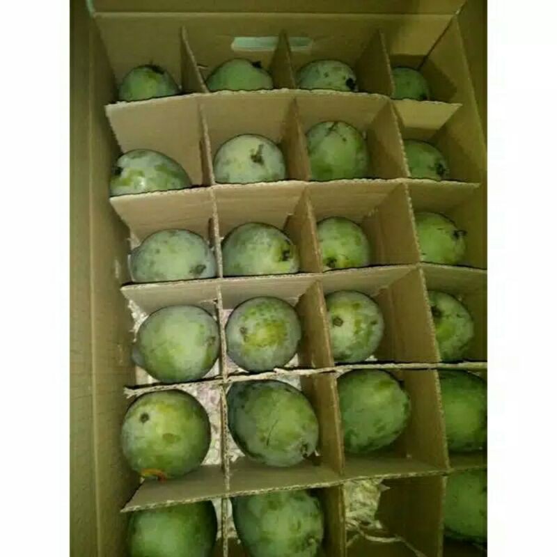 

MANGGA SEGAR HARUMANIS 1KG