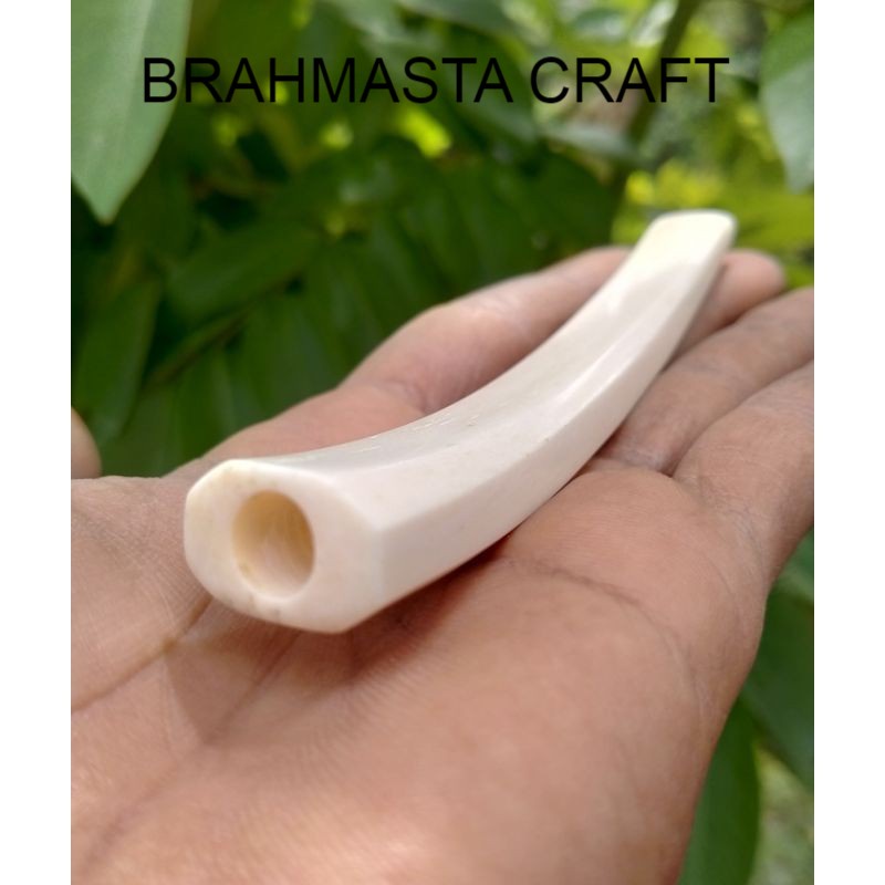 distributor pipa once tulang iga duyung original kwalitas super