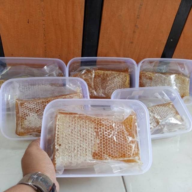 

Madu sarang warungmpoisqi