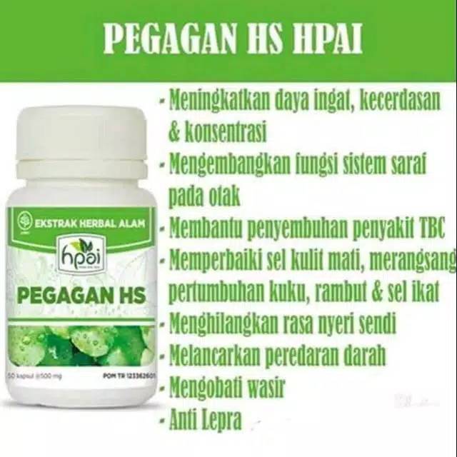 Pegagan HNI - HPAI