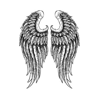 

POTATOO B GABRIELLE WINGS Temporary Tatto Sticker