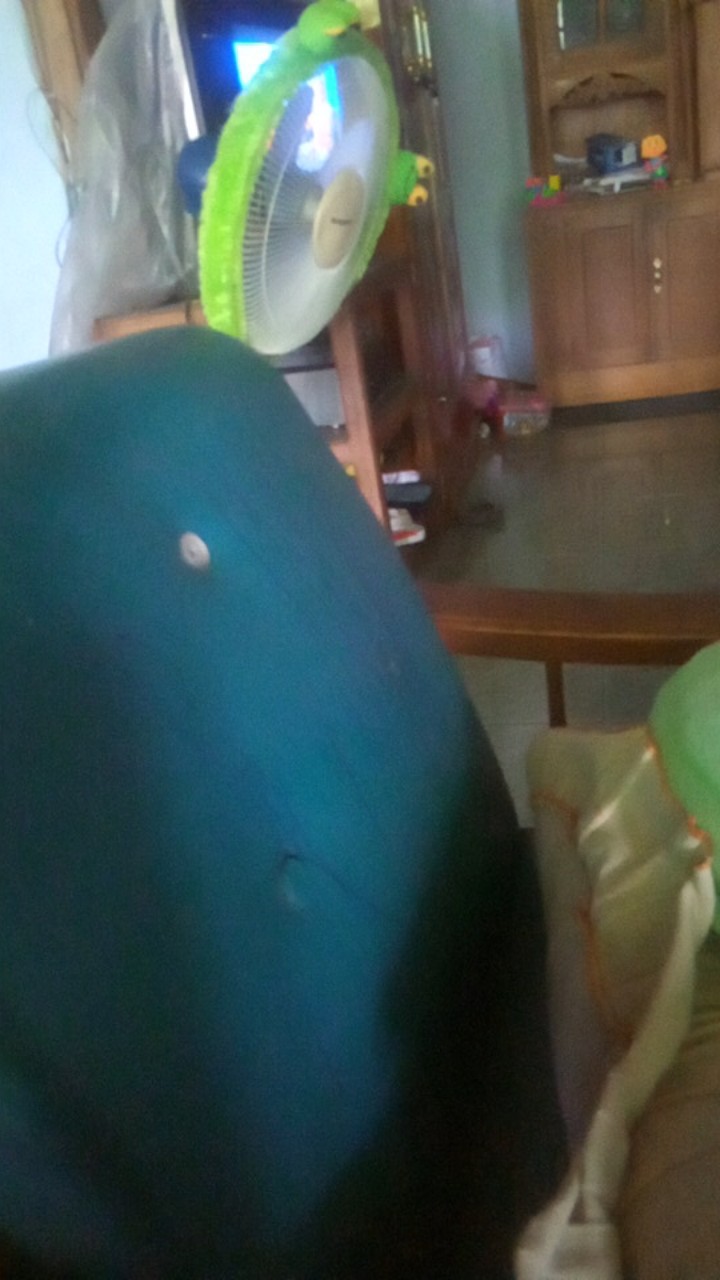 Seal Blender Miyako / Karet Mounting National Gmc Sanex Dll By Sinar Sakti Malang