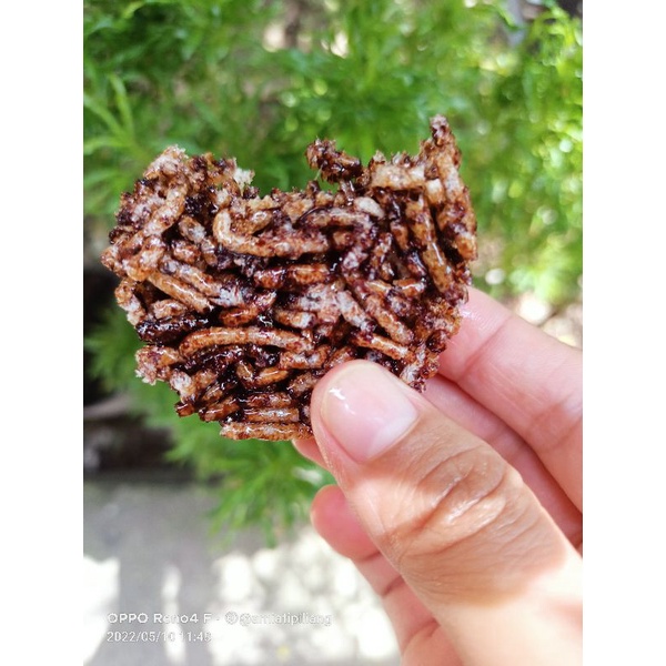 

Kipang Mie - Oleh oleh Minang - Pariaman Padang Minang