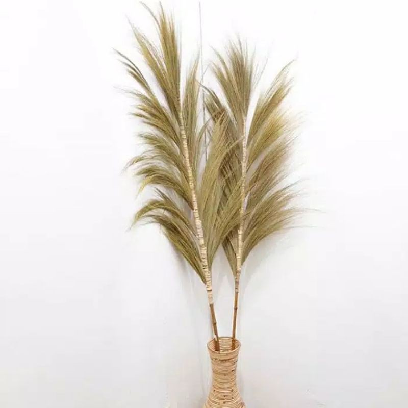 RAYUNG KERING RAYUNG STIK RAYUNG NATURAL HOME DECOR