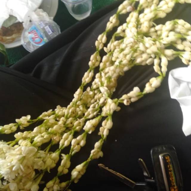 1fadnuy