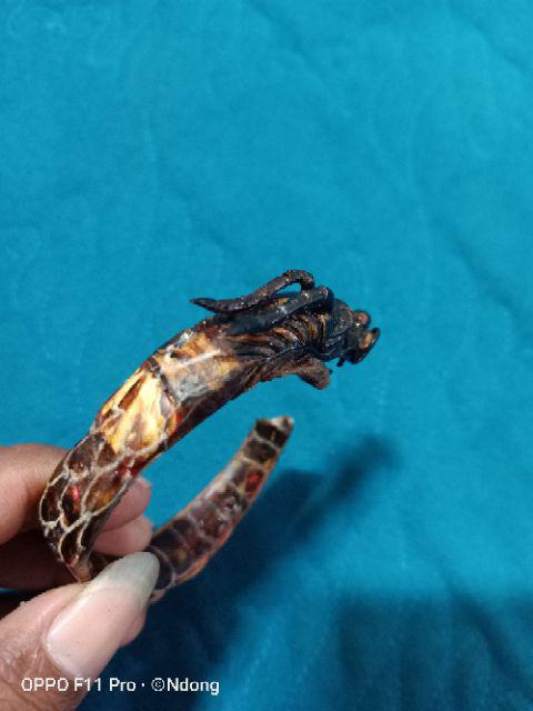 Akar Bahar Merah Cristal Asli Tembus Cahaya Ukir Naga Berkualitas.