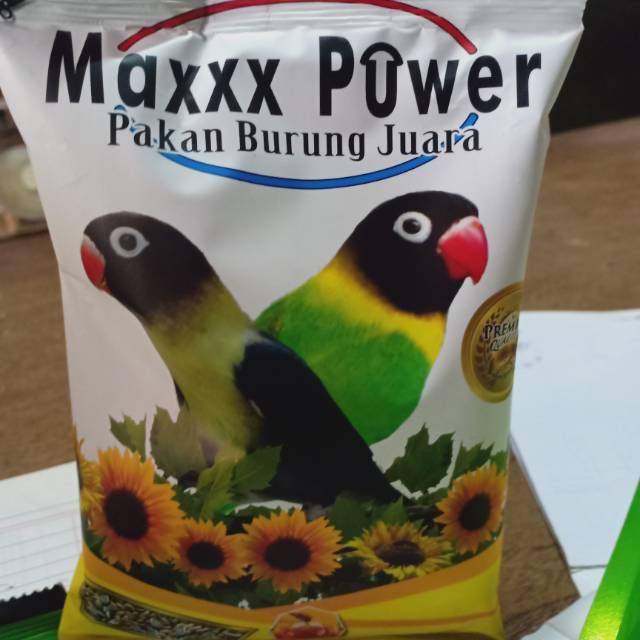 maxxx power love bird pakan burung lovebird kenari perkutut komplit madu vi