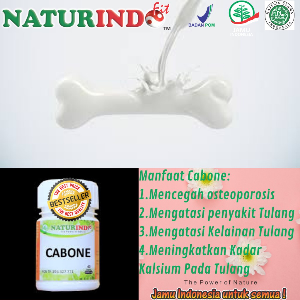OBAT HERBAL KESEHATAN TULANG CABONE NATURINDO