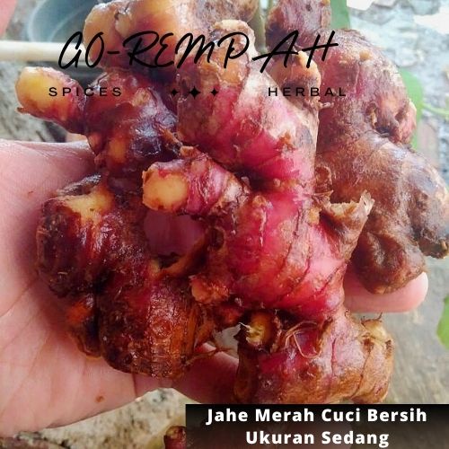

JAHE MERAH MEDAN SEGAR DICUCI BERSIH 500gr