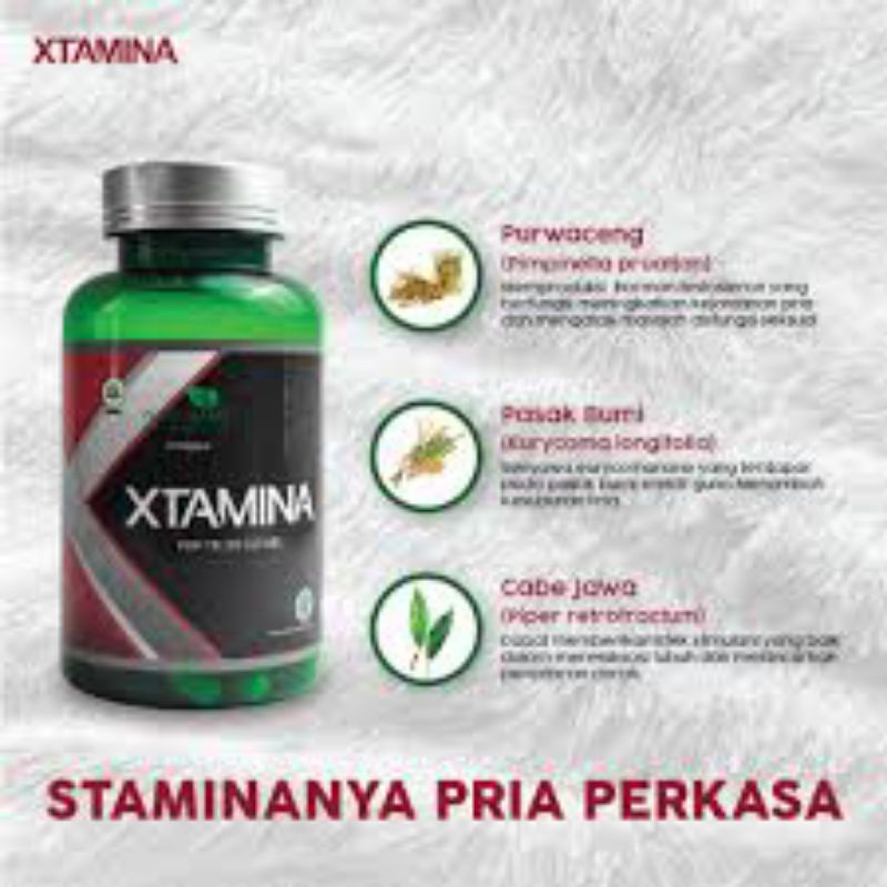 Xtamina Suplement Herbal Penambah Stamina Pria
