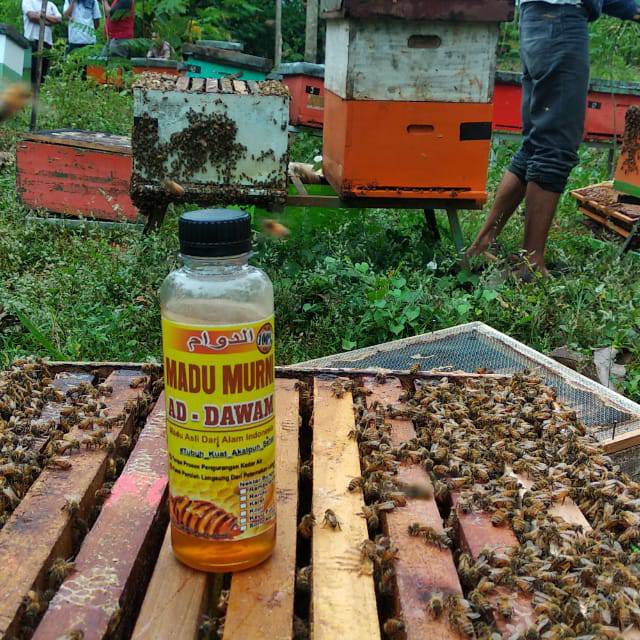 

Madu murni /madu asli / madu bunga randu / madu super