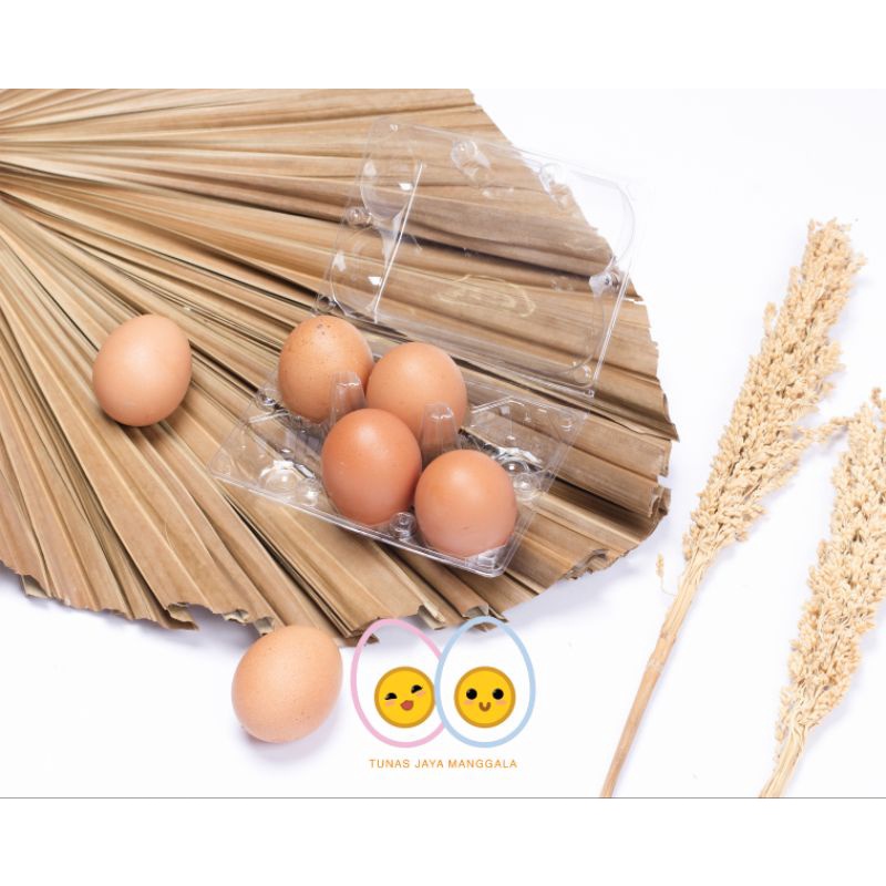 Mika telur ayam 6 lubang/egg tray/tray telur sudah ada pengunci