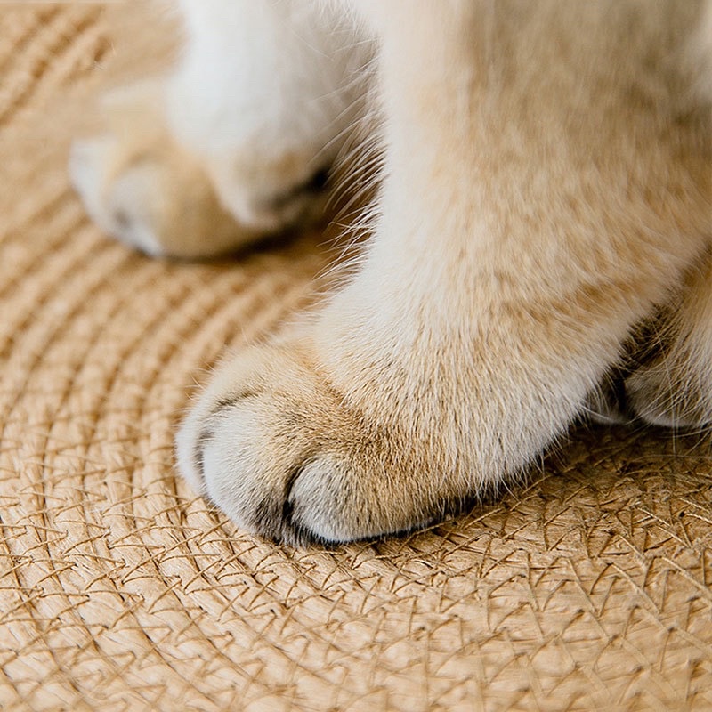 Aesthetic aoki anyam bed