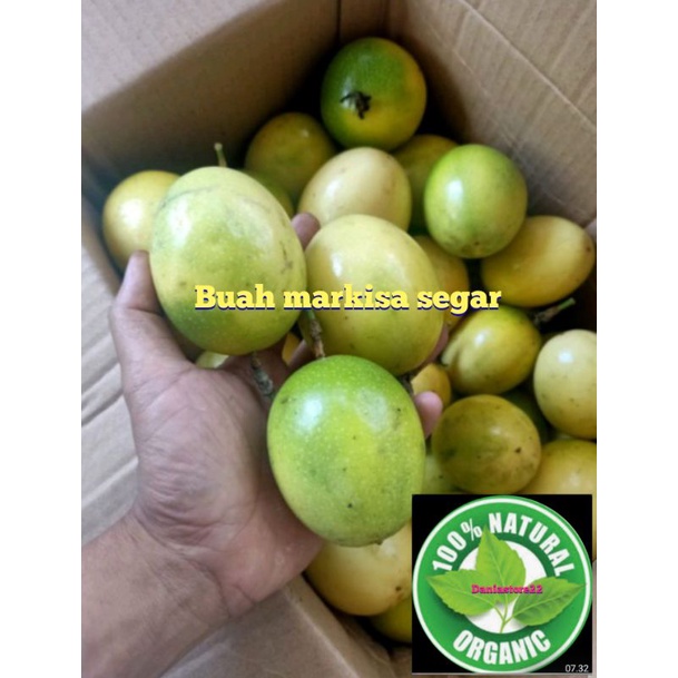 

jual buah markisa termurah 2 kg 35 ribu