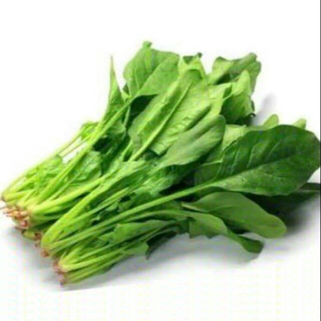 

Horenzo/poeling/bayam jepang murah