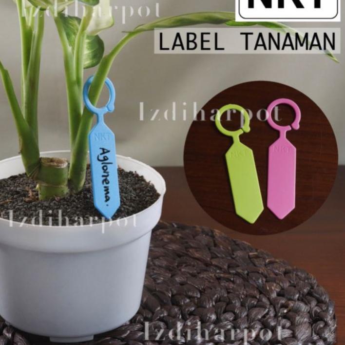 

2.2 F⚡ASH SALE label tag tanaman nkt warna warni name tag bahan tebal - per pack isi 50 pcs terbaik