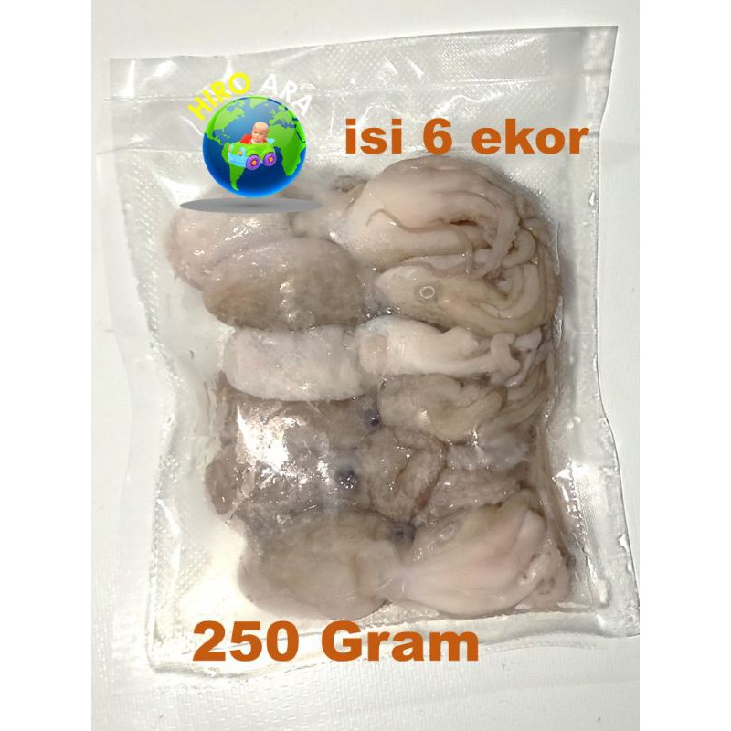 

baby gurita segar, isi 15 s.d. 20 brt 500 grm