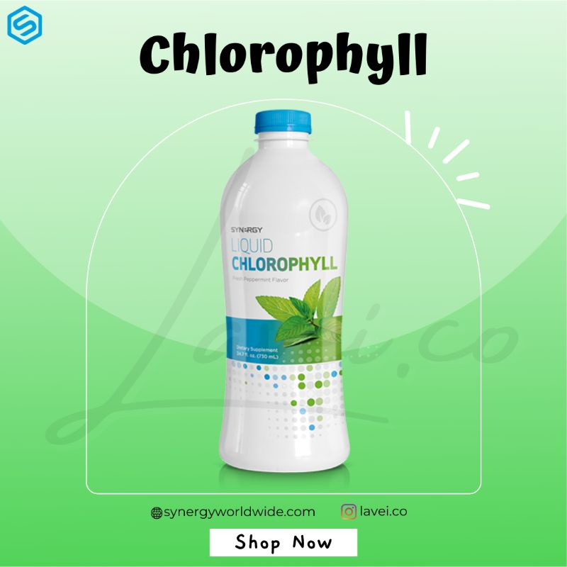 Synergy Liquid Chlorophyll Plus / Klorofil