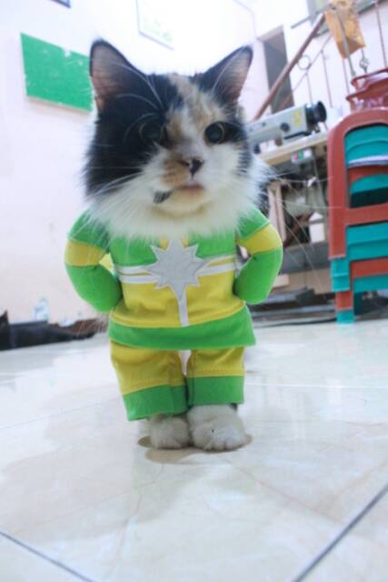 Kostum kapten marvel another untuk kucing dan anjing / baju kucing murah size S M L XL