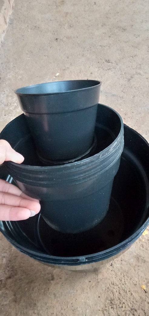 Pot Bunga Plastik 10 Cm Pot Es Krim Plastik Baru Pot Hidroponik