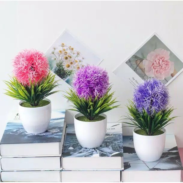 Sakura Pot Plastik D 10cm