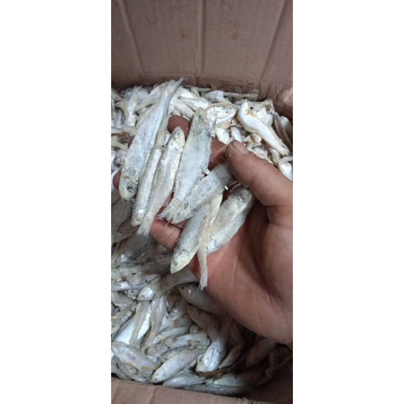 

ikan asin bilis kering ; 1kg best seler