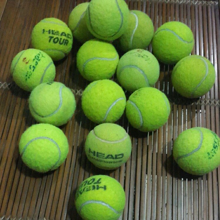 BOLA KASTI ATAU BOLA TENIS LAPANGAN BEKAS GROSIR MURAH ( BUKAN BARU )