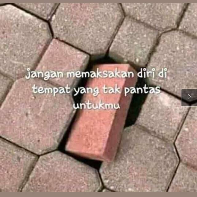 n*****k