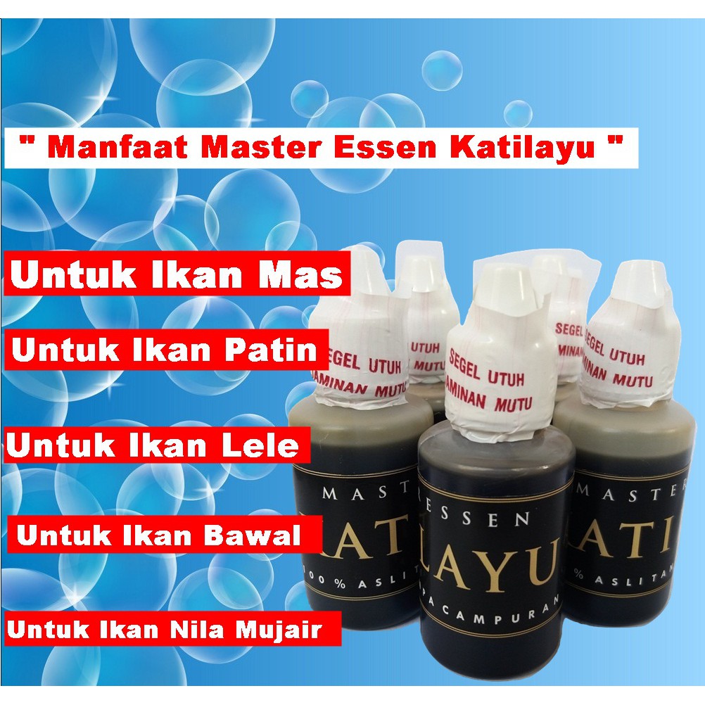Essen katilayu | Essen Getah Katilayu | Essen Minyak Katilayu | Master Essen Katilayu