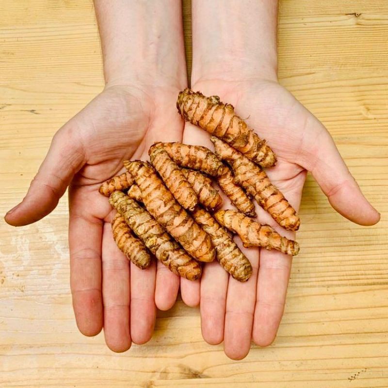 

Gudang Sayur - Kunyit & Biang Kunyit 200 Gram