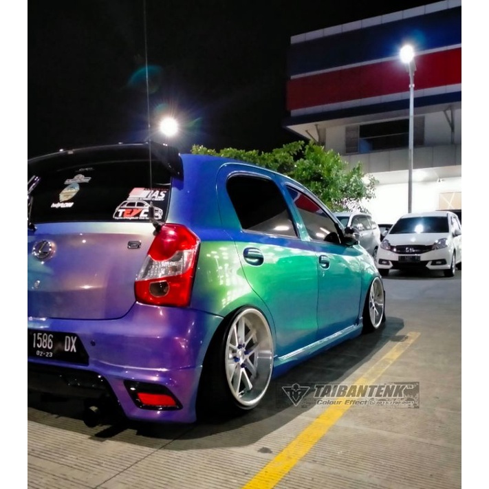 Cat Bunglon TAIBANTENK ATHOZE