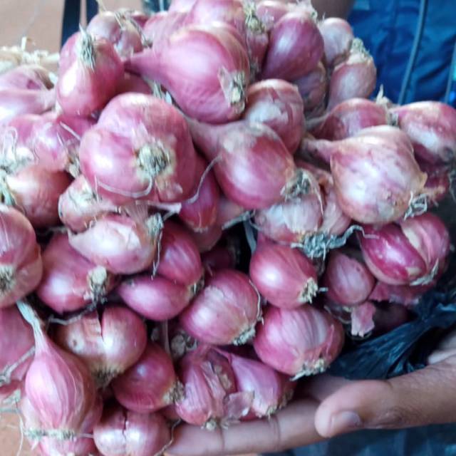 

Bawang merah