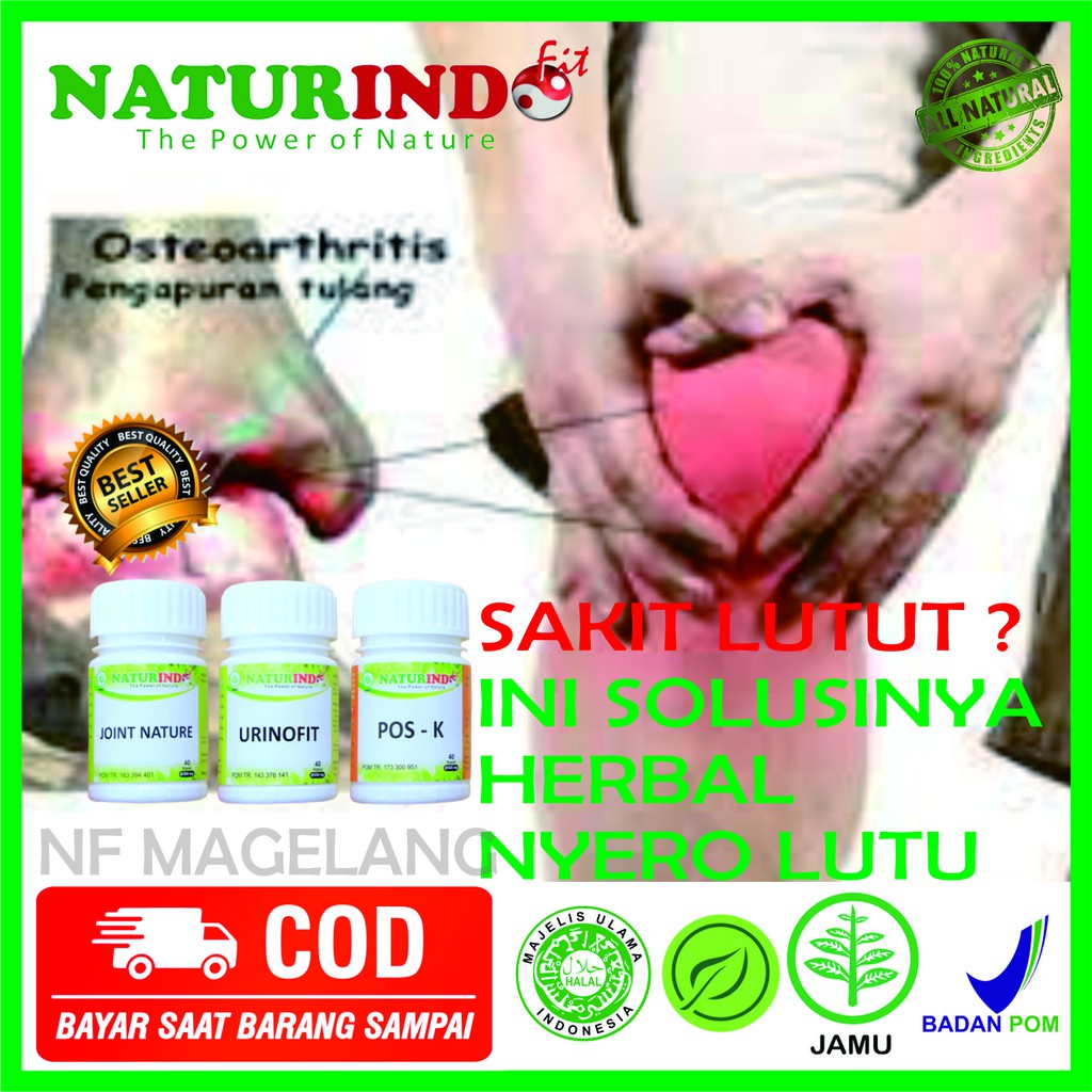 OBAT penumpukan kalsium pengapuran tulang pengapuran sendi pengapuran pengapuran tulang lutut