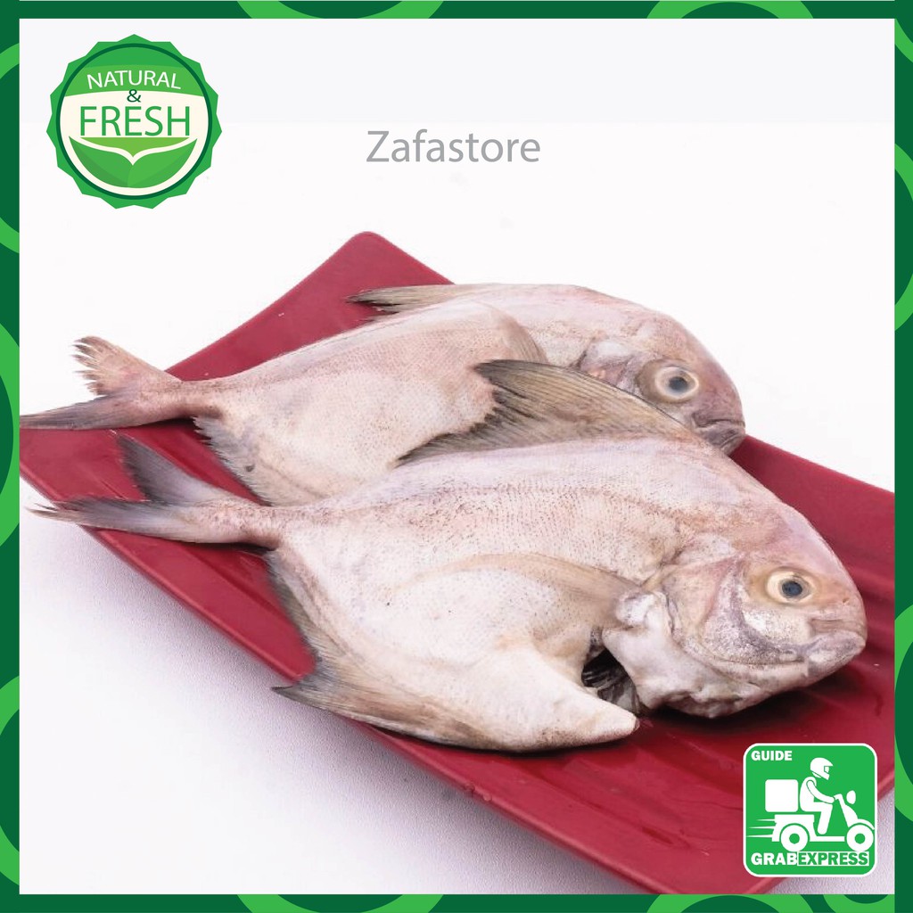 

IKAN DORANG MAKANAN DAGING IKAN SEGAR FRESH 500 GRAM