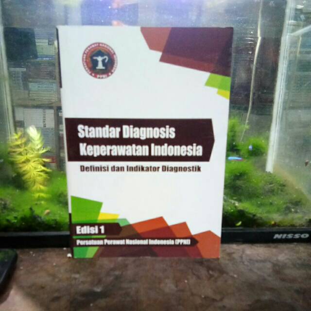 Standar diagnosis keperawatan Indonesia