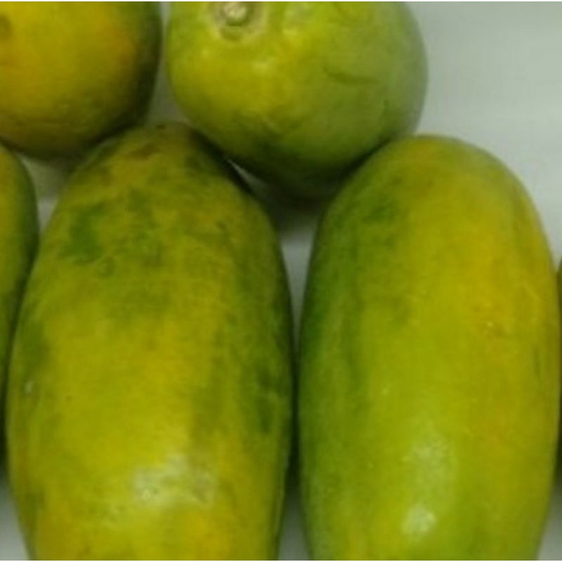 

pepaya california 1kg