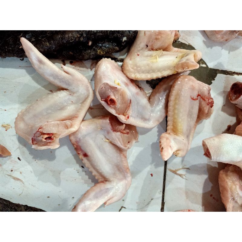 

sayap ayam fresh