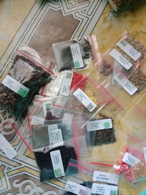 10 Biji -benih Strawberry Holland,benih Buah Strawberry Import