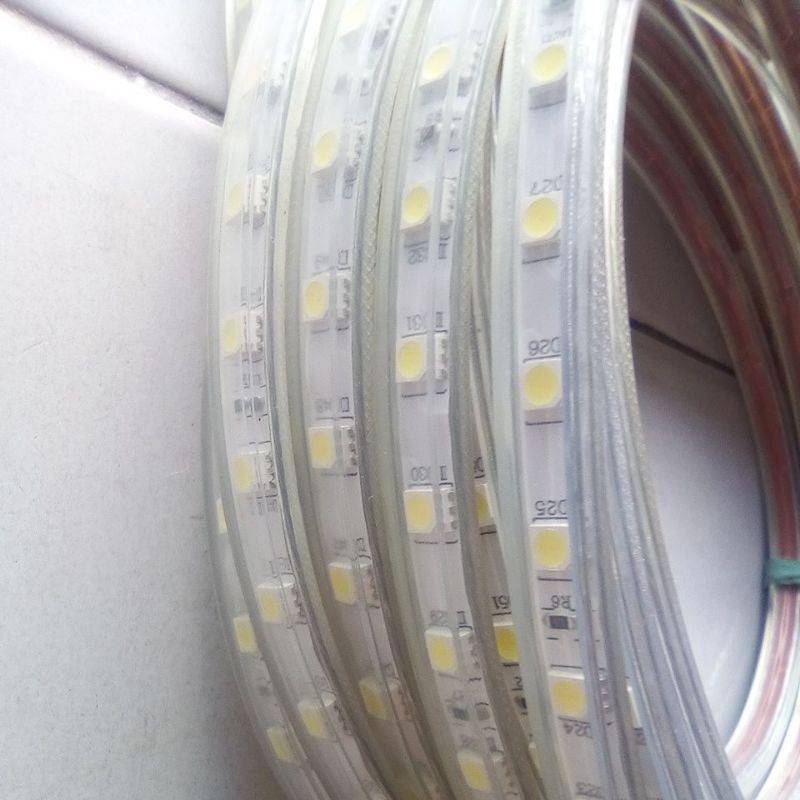 led selang strip 220v kotak 5050