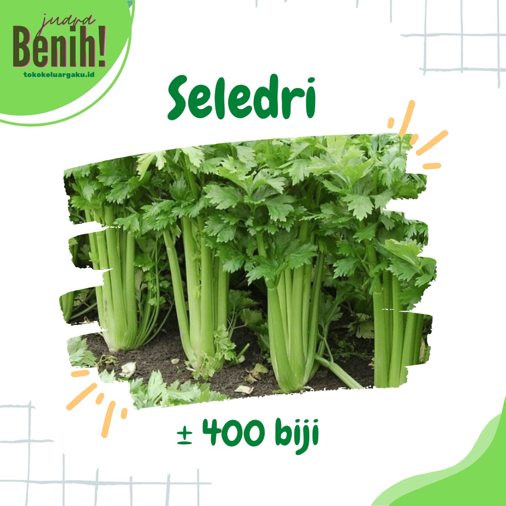Benih Seledri Amigo Cap Panah Merah  - Bibit Tanaman Sayur Sayuran