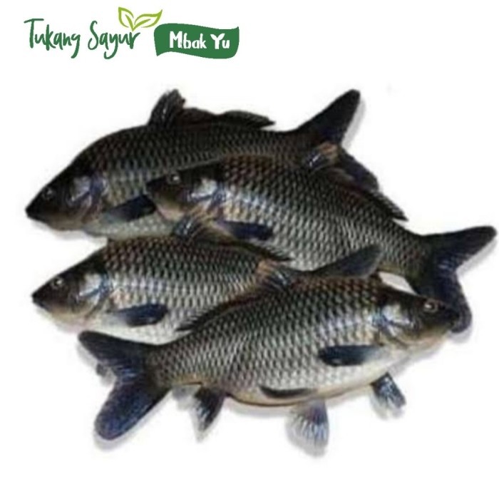 

Ikan mas segar 500gr by gosend / grab